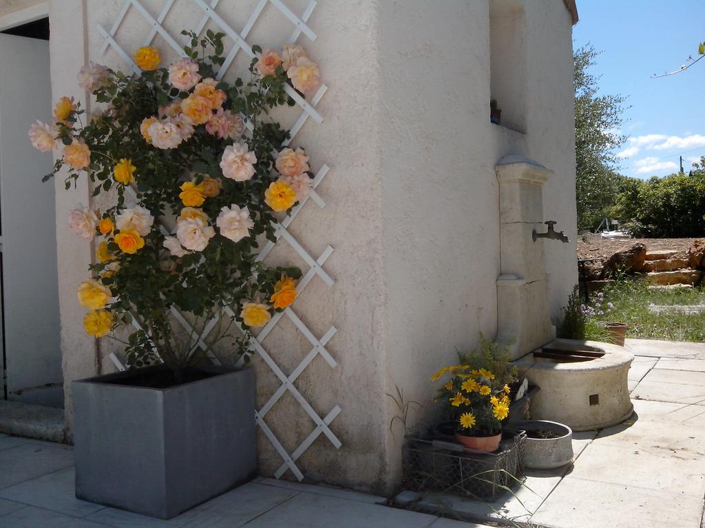 Chez Isabelle Et Guy B&B Trans-en-Provence Exterior photo
